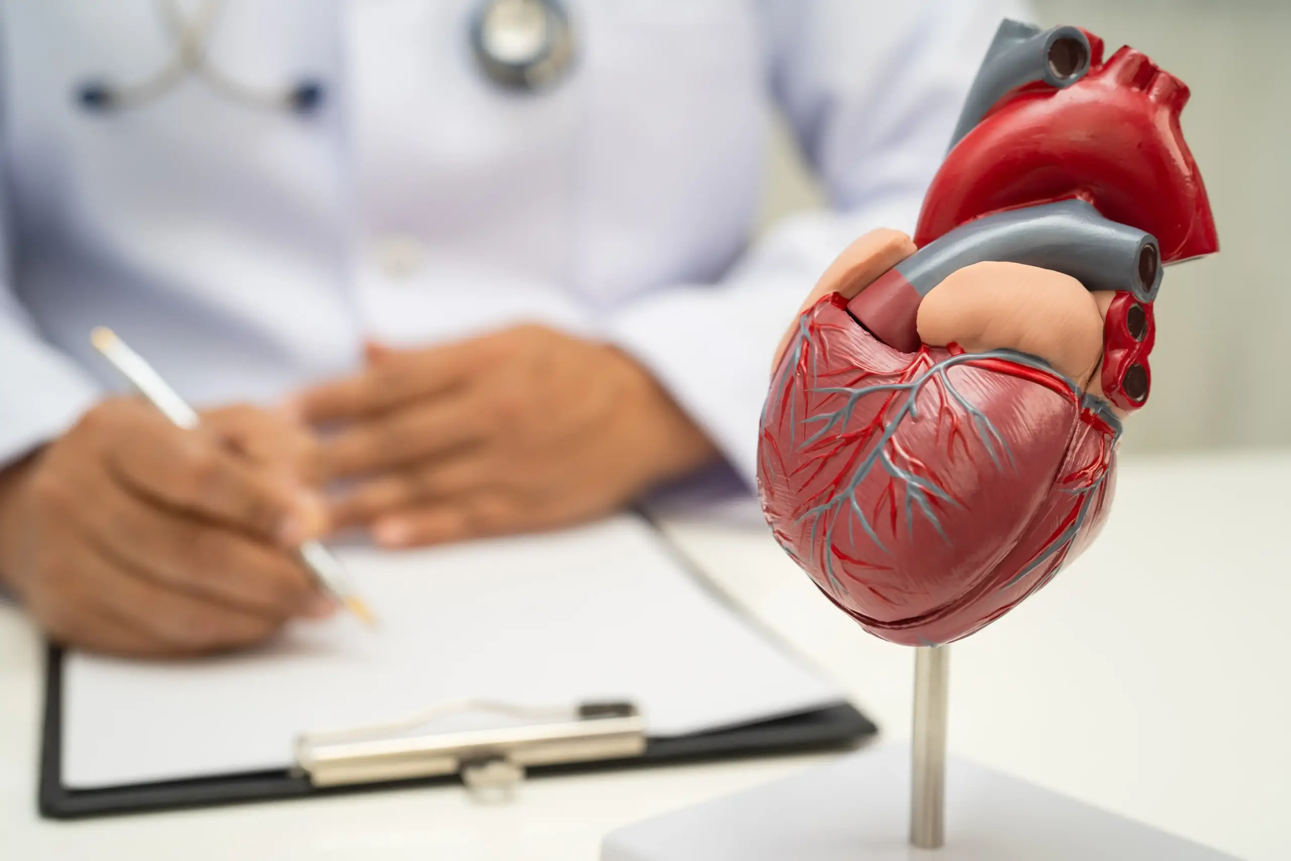 Cardiovascular health treatments in Provo, Utah focused on heart disease prevention and care